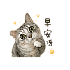 麻尼錢來