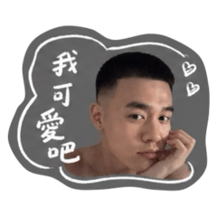 姐姐的心血
