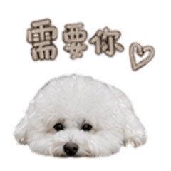 陳米樂