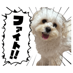 daiko_20260511190505