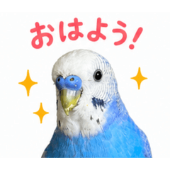 mido_20260502131347
