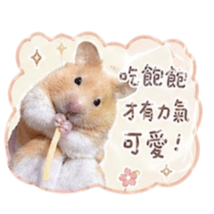 倉鼠-果凍妹妹