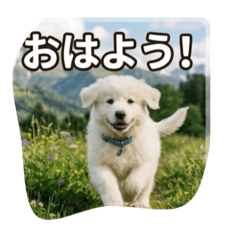 miko sato_20260511190421