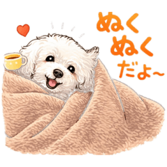 ichi_20260511191409