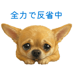 Kohei_20260511191137