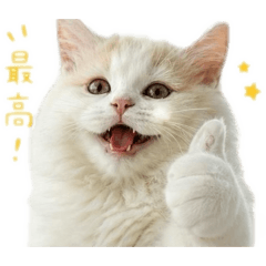ekurea_20260511191738