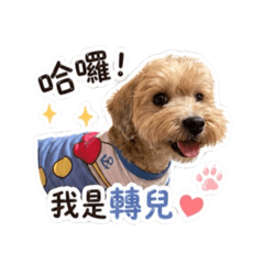 樂轉的日常