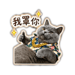 風趣89錢