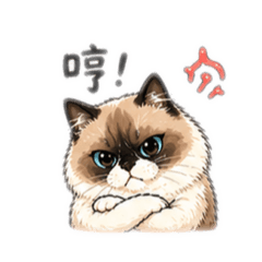 朱Mimi