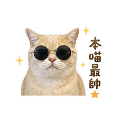 QQ&糖糖ㄉ日常