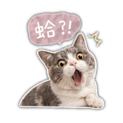 默默-生活用語2