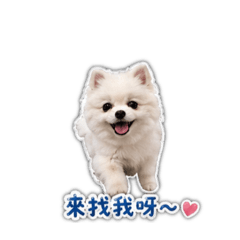 小莫莫2.0