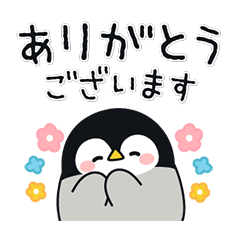 心くばりペンギン × ドゥクラッセ