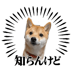 nishi_20260514225533