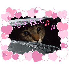 annkuku_20260511191827