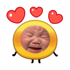 bear_20260511193734