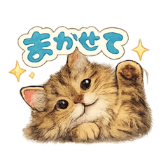 Latte the Fluffy Cat: Gentle Words