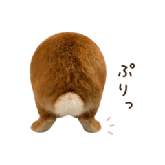 unimaru_20260502135800