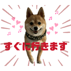 265oneone_20260511193559