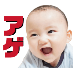 Sayaka_20260511194210