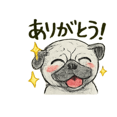 pug no stamp