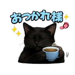 kuro_s_20260512000222