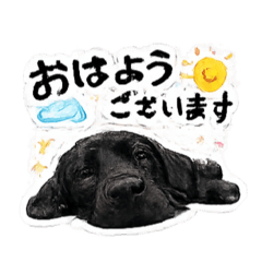 so-nene_20260511234006