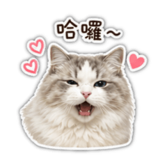 歐元歐元歐元
