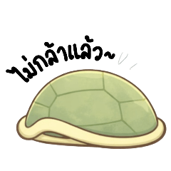 Sleepy Turtle Mood