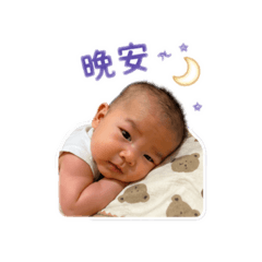 Dino的可愛日常