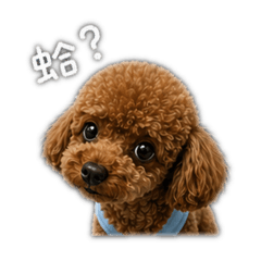 恰寶三彈