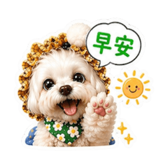 馬爾濟斯小可愛日常