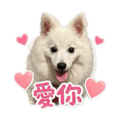 冬の日常用語