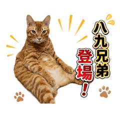 89幫