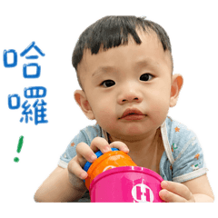 維寶的日常生活