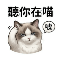 萌萌布偶貓的日常生活