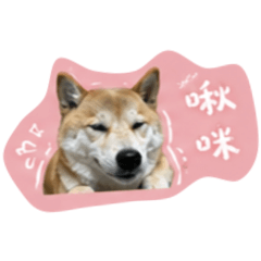 Uni 啾