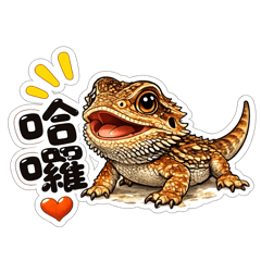 鬆獅蜥多龍的日常