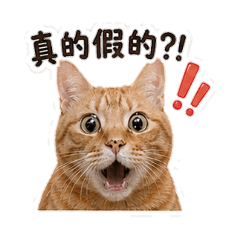 日常肥