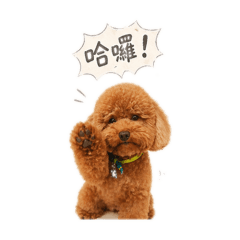 阿吉萌貼No.1