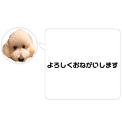 sumire.1466_20260502140229