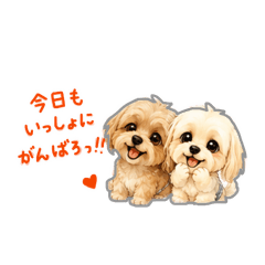 chia._20260511191039
