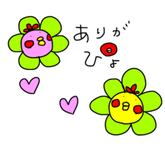 pipipi_20260511192150