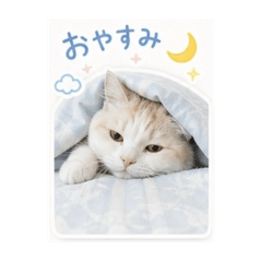 natsumi_20260511194350