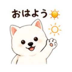ryo_20260511192806