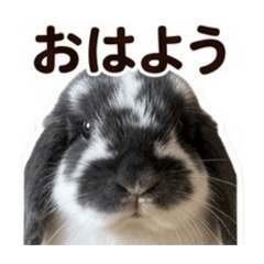 Keith_20260511124521