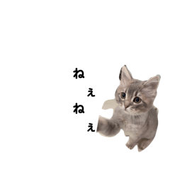 T_20260511195057