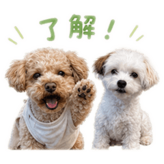 am  and  kuuta
