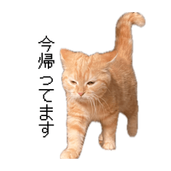 moe_20260511195327