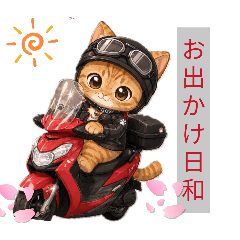 hamumaru_20260511195418